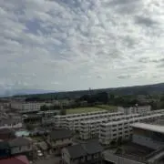1173の画像