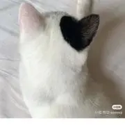 naの画像