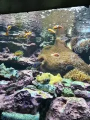 もぐの画像