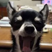 ゆうじの画像