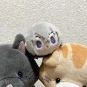 彗