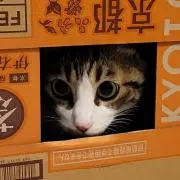 ☆むっち⭐