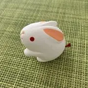 うさぎの画像