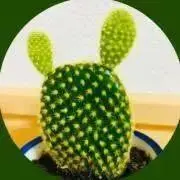 はの
