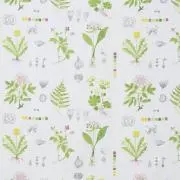 gaaakoの画像