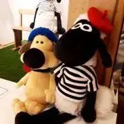 モリコの画像