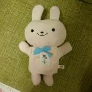 ことりの画像