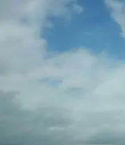 じゃる