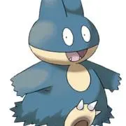 け