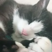 みちよの画像