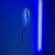ちるるんの画像