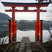 どんぱくの画像