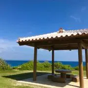 彩の画像