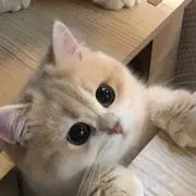 みの画像