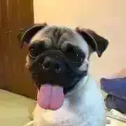 プロフィール確認必須！けろちゃんの画像