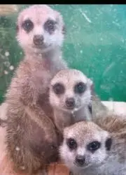 ディズニーグッズ 沢山出品中！！の画像