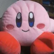 くすのきの画像