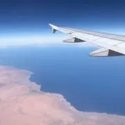 Arribaの画像