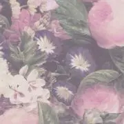 ミニ1☆