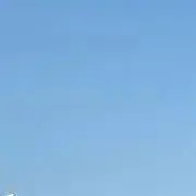 ツッチー