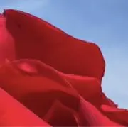 mitiの画像
