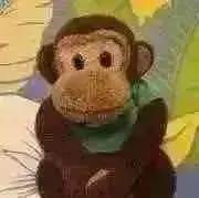 チョコの画像