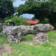 ぽんの画像