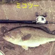 ミコツー