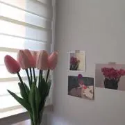 Heeyaの画像