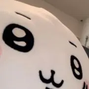 はなの画像