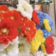 ぽぽの画像