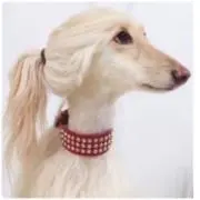 なみHey!の画像