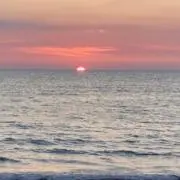ののの画像