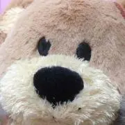 うさこの画像
