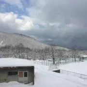 断捨離中※プロフ一読の画像