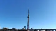 葵☆プロフ必読ですの画像