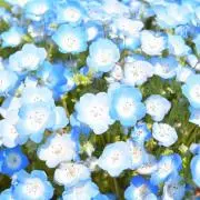 akiha...✴︎の画像