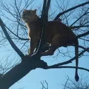 断捨離中！！！