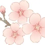 トトロ✨即日発送対応/匿名発送対応の画像