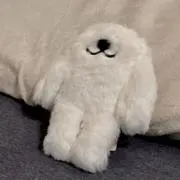 わここ＊多忙につきご対応ゆっくり目ですの画像