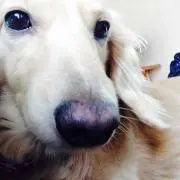 reの画像