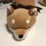 はっちの画像