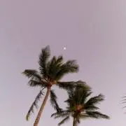 ☆