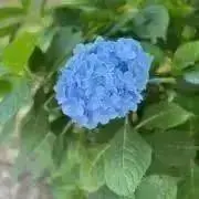 ui プロフ一読願いますの画像