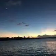 Ayakaの画像