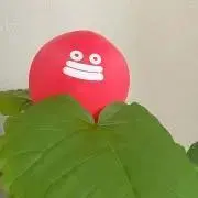 さくらくらの画像