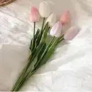 いちご