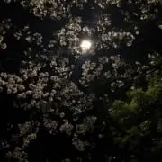 かぎ