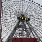 カツキの画像