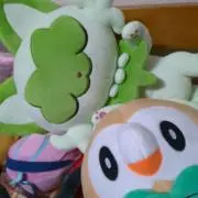 #000の画像